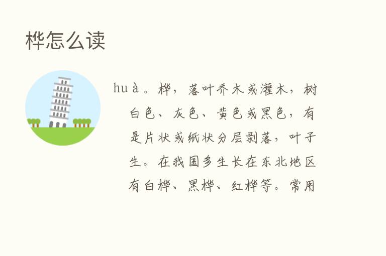 桦怎么读