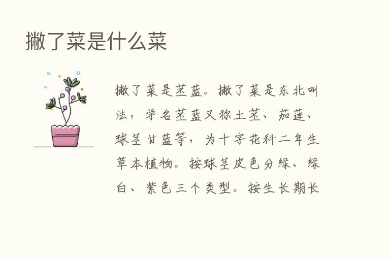 撇了菜是什么菜