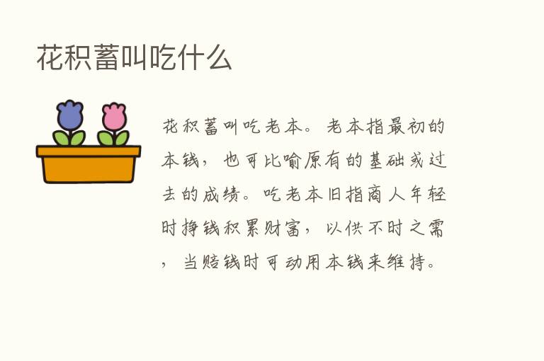 花积蓄叫吃什么