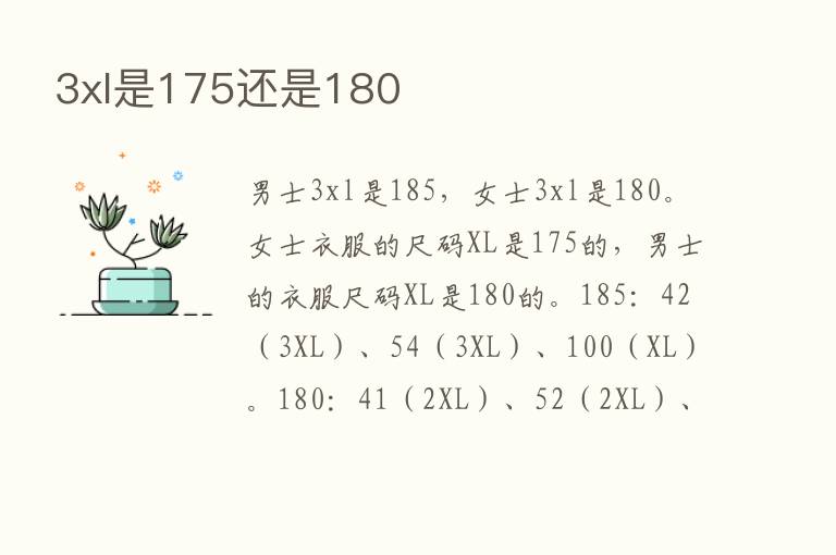 3xl是175还是180