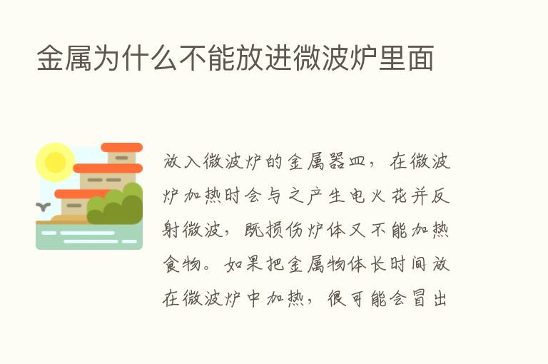 金属为什么不能放进微波炉里面