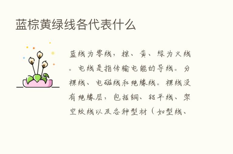 蓝棕黄绿线各代表什么