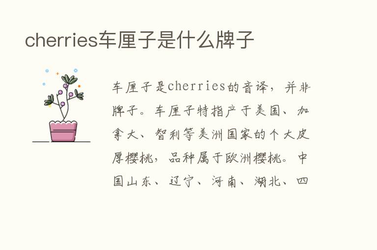 cherries车厘子是什么牌子