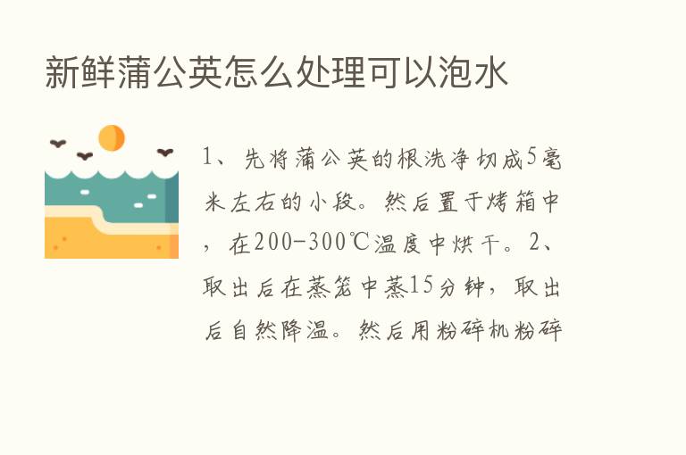 新鲜蒲公英怎么处理可以泡水