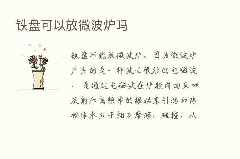 铁盘可以放微波炉吗