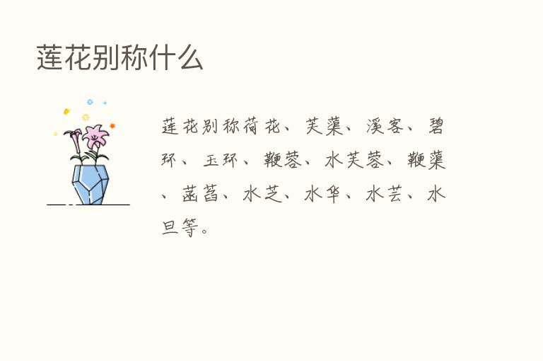 莲花别称什么