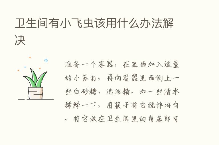 卫生间有小飞虫该用什么办法解决