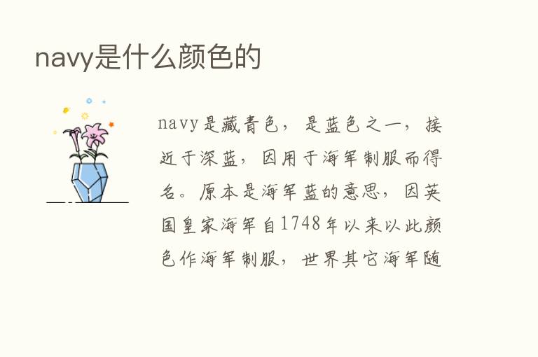 navy是什么颜色的