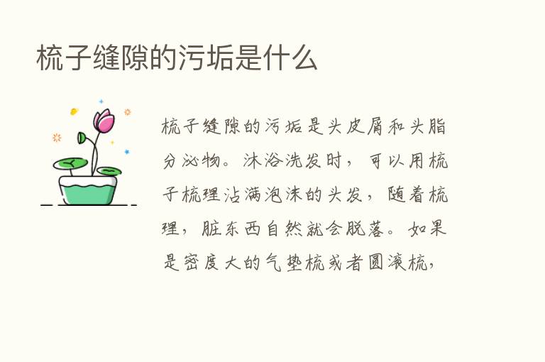 梳子缝隙的污垢是什么