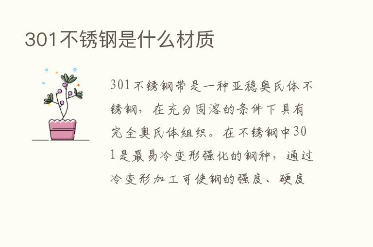 301不锈钢是什么材质