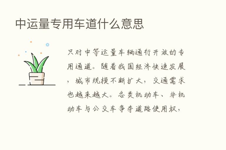 中运量专用车道什么意思