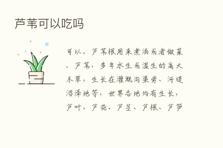 芦苇可以吃吗