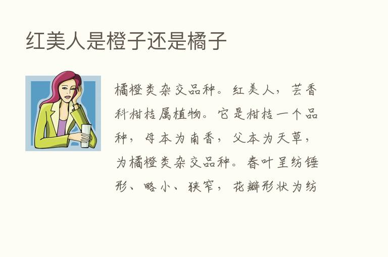 红美人是橙子还是橘子