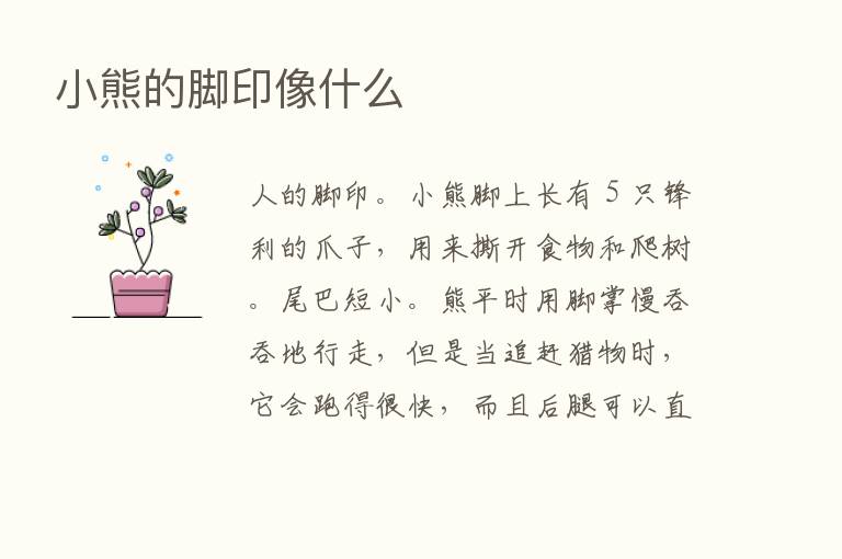 小熊的脚印像什么