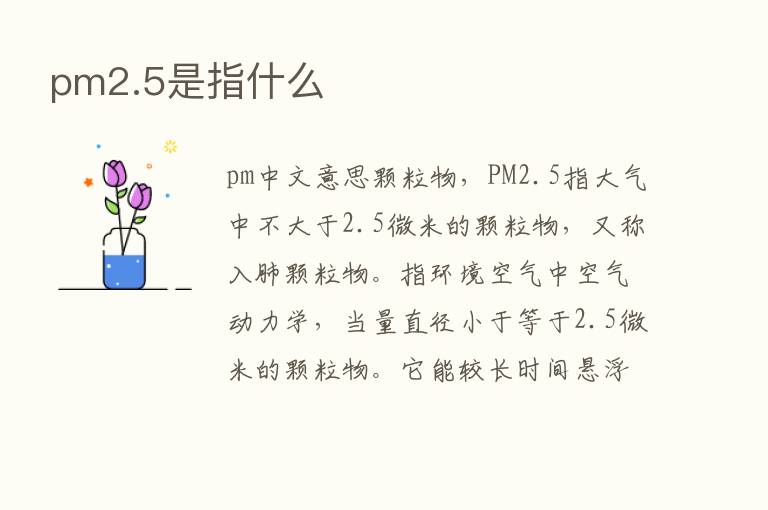 pm2.5是指什么