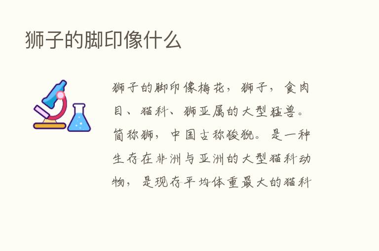 狮子的脚印像什么