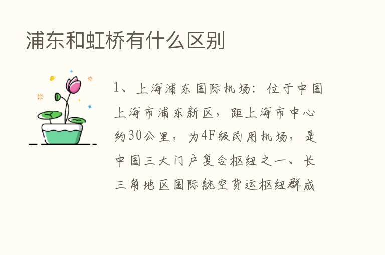 浦东和虹桥有什么区别