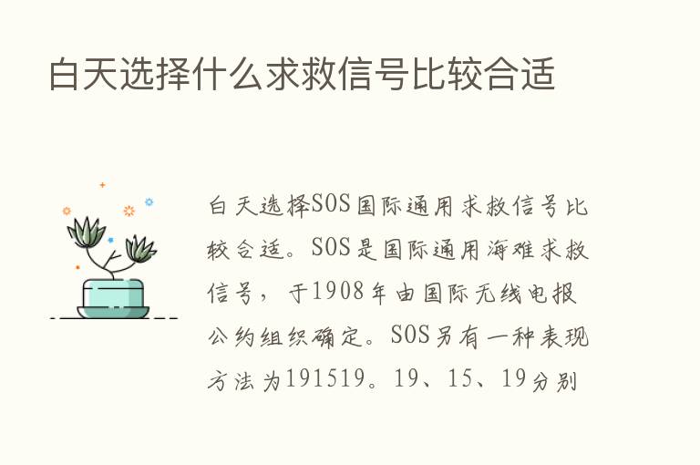 白天选择什么求救信号比较合适