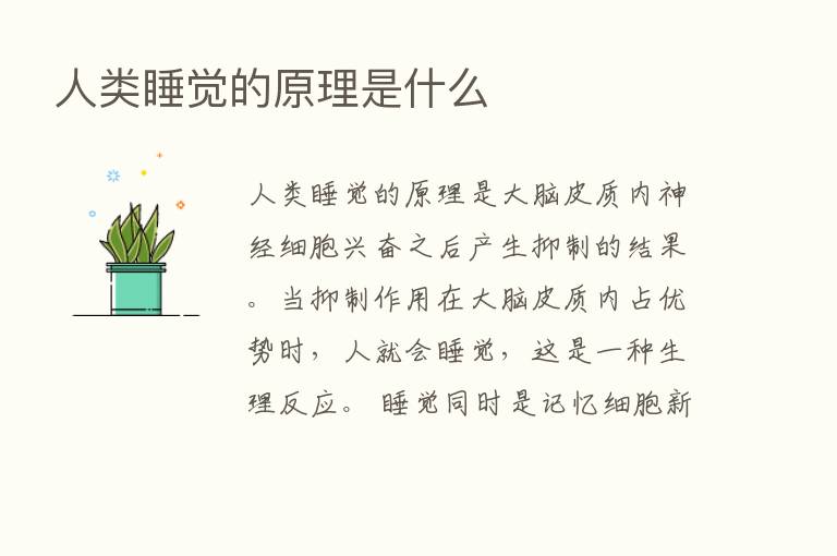 人类睡觉的原理是什么