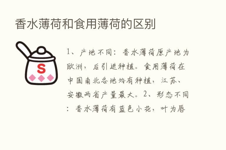 香水薄荷和食用薄荷的区别