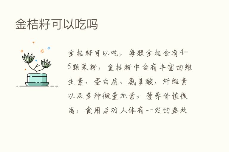 金桔籽可以吃吗