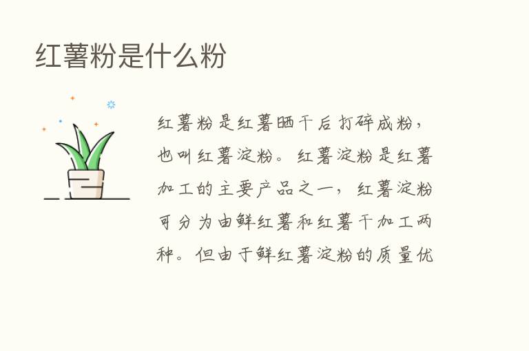 红薯粉是什么粉