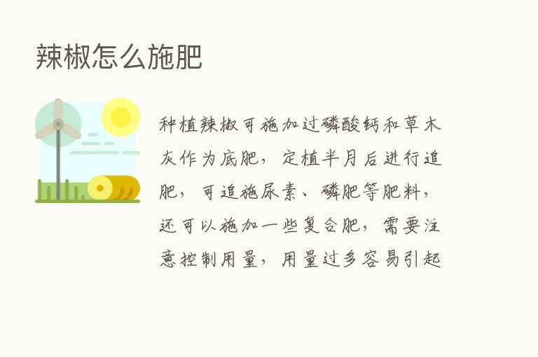 辣椒怎么施肥