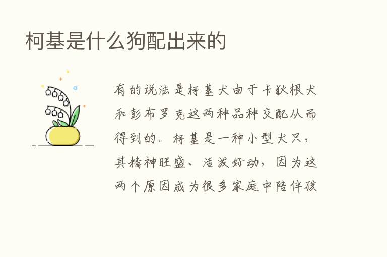 柯基是什么狗配出来的