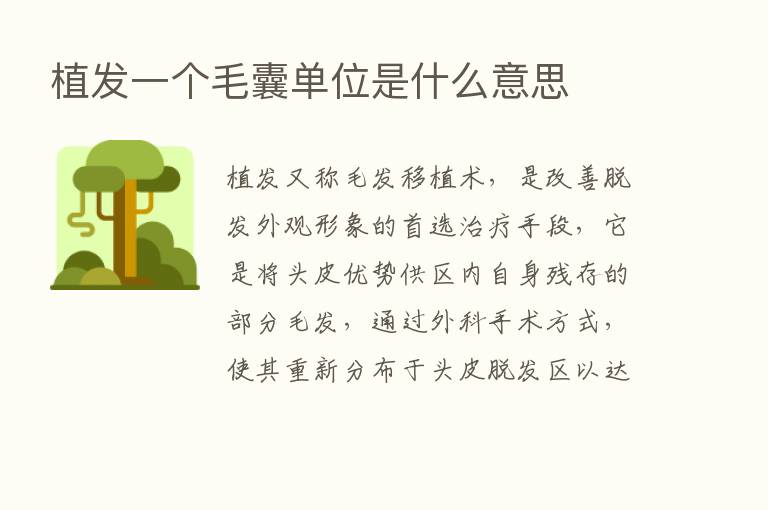 植发一个毛囊单位是什么意思