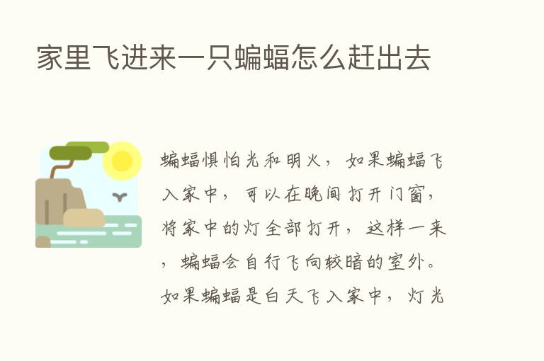 家里飞进来一只蝙蝠怎么赶出去