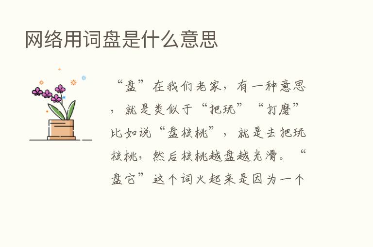 网络用词盘是什么意思