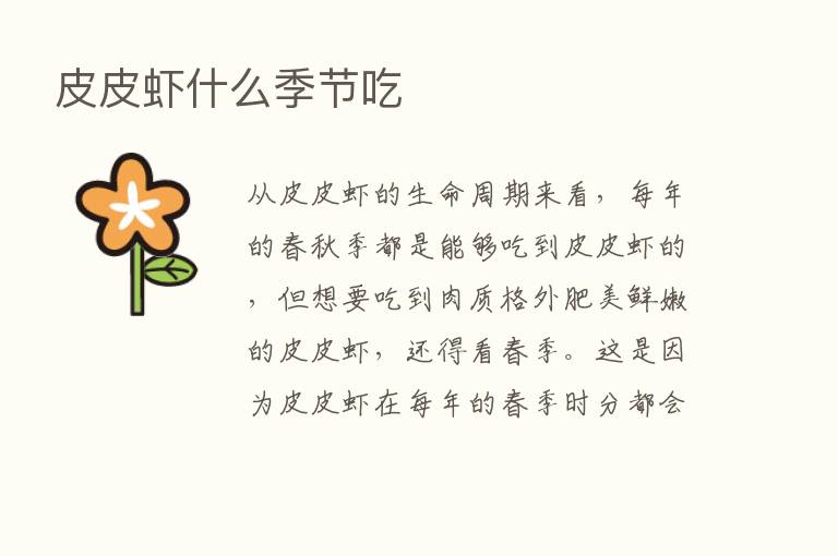 皮皮虾什么季节吃