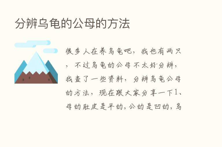 分辨乌龟的公母的方法