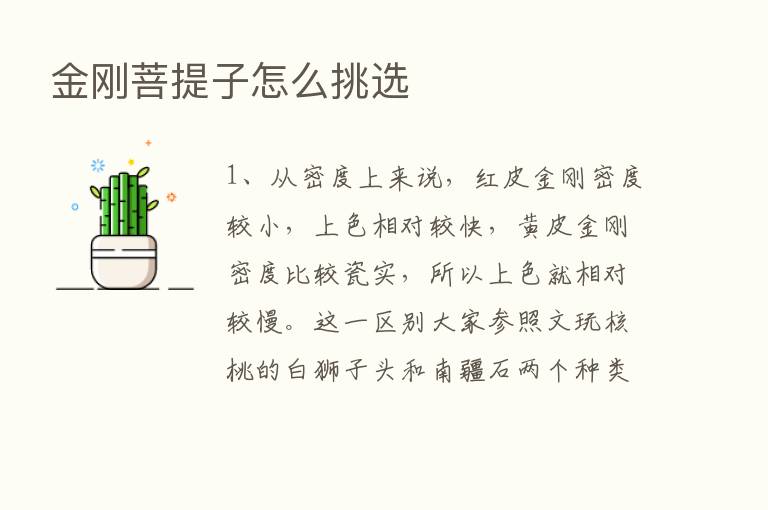 金刚菩提子怎么挑选