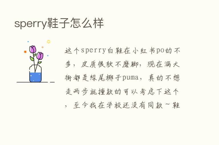 sperry鞋子怎么样