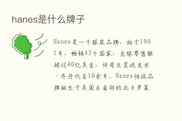 hanes是什么牌子