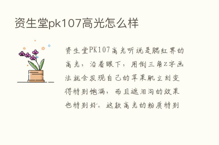 资生堂pk107高光怎么样