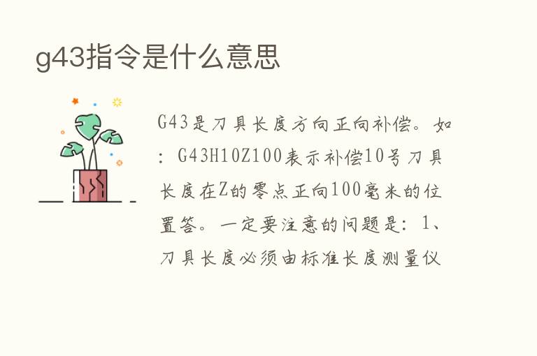 g43指令是什么意思