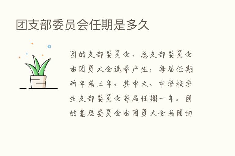 团支部委员会任期是多久