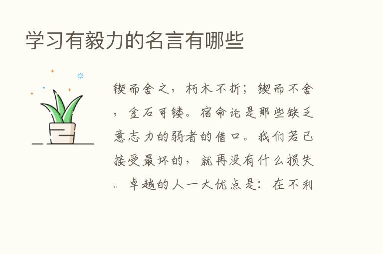 学习有毅力的名言有哪些