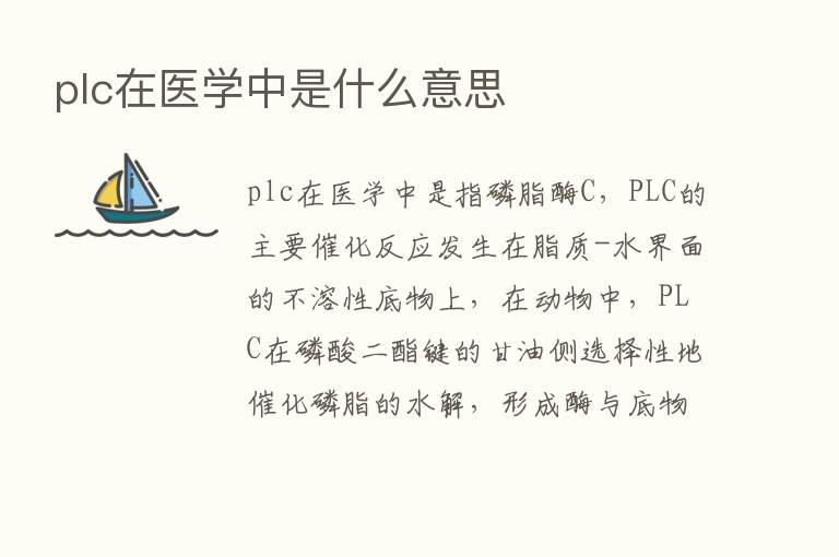 plc在医学中是什么意思