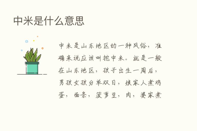 中米是什么意思