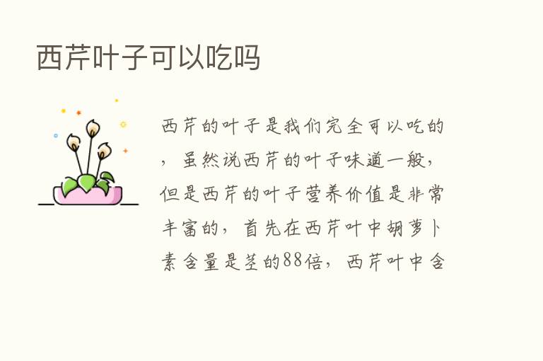 西芹叶子可以吃吗