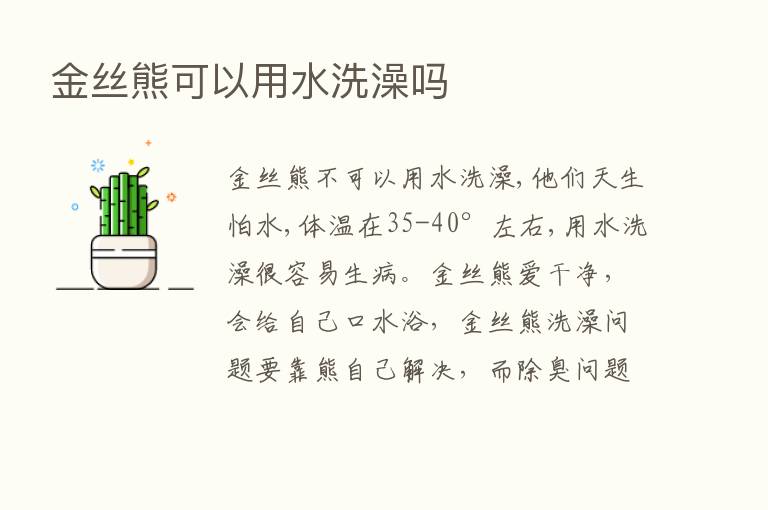 金丝熊可以用水洗澡吗