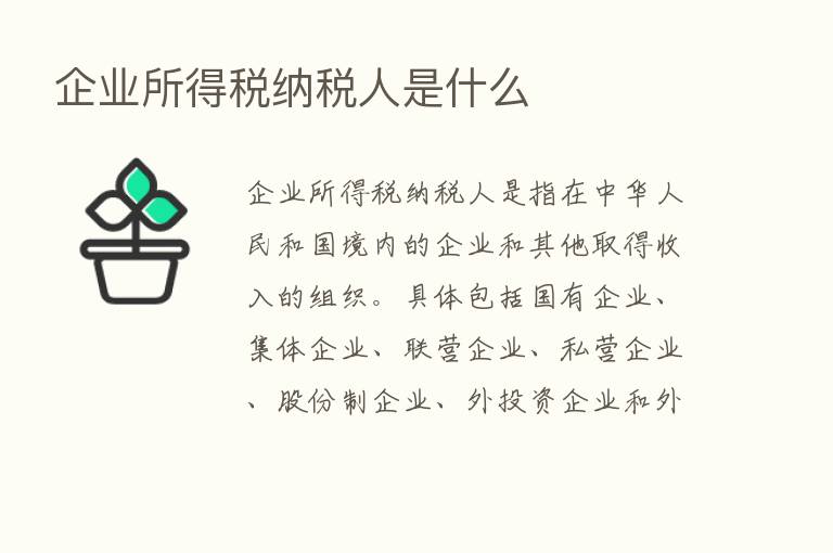 企业所得税纳税人是什么