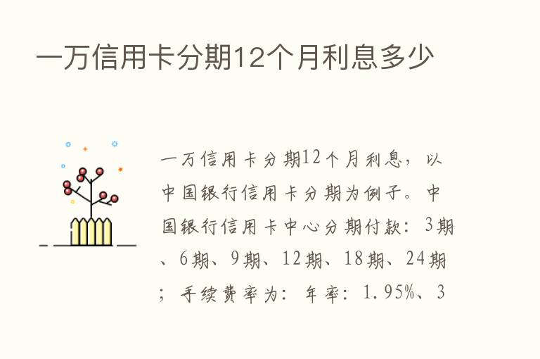 一万信用卡分期12个月利息多少