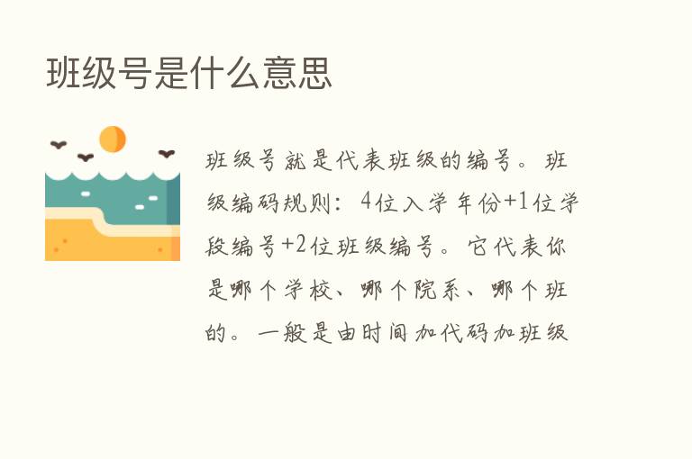 班级号是什么意思