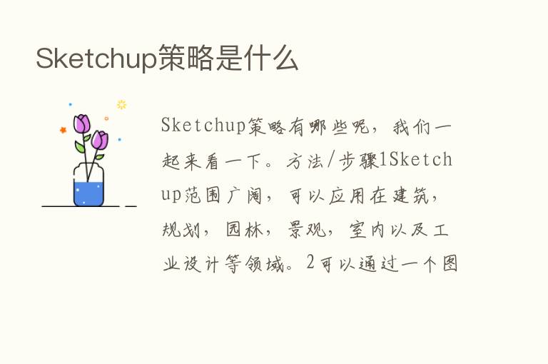 Sketchup策略是什么