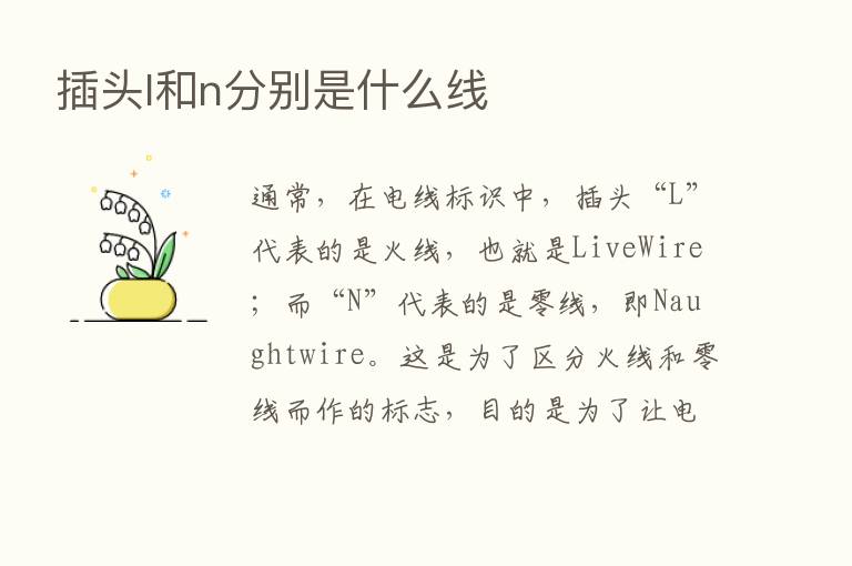 插头l和n分别是什么线