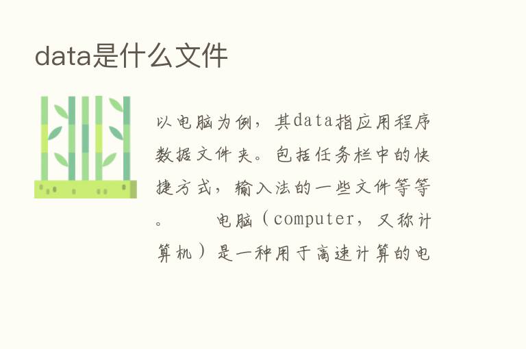 data是什么文件